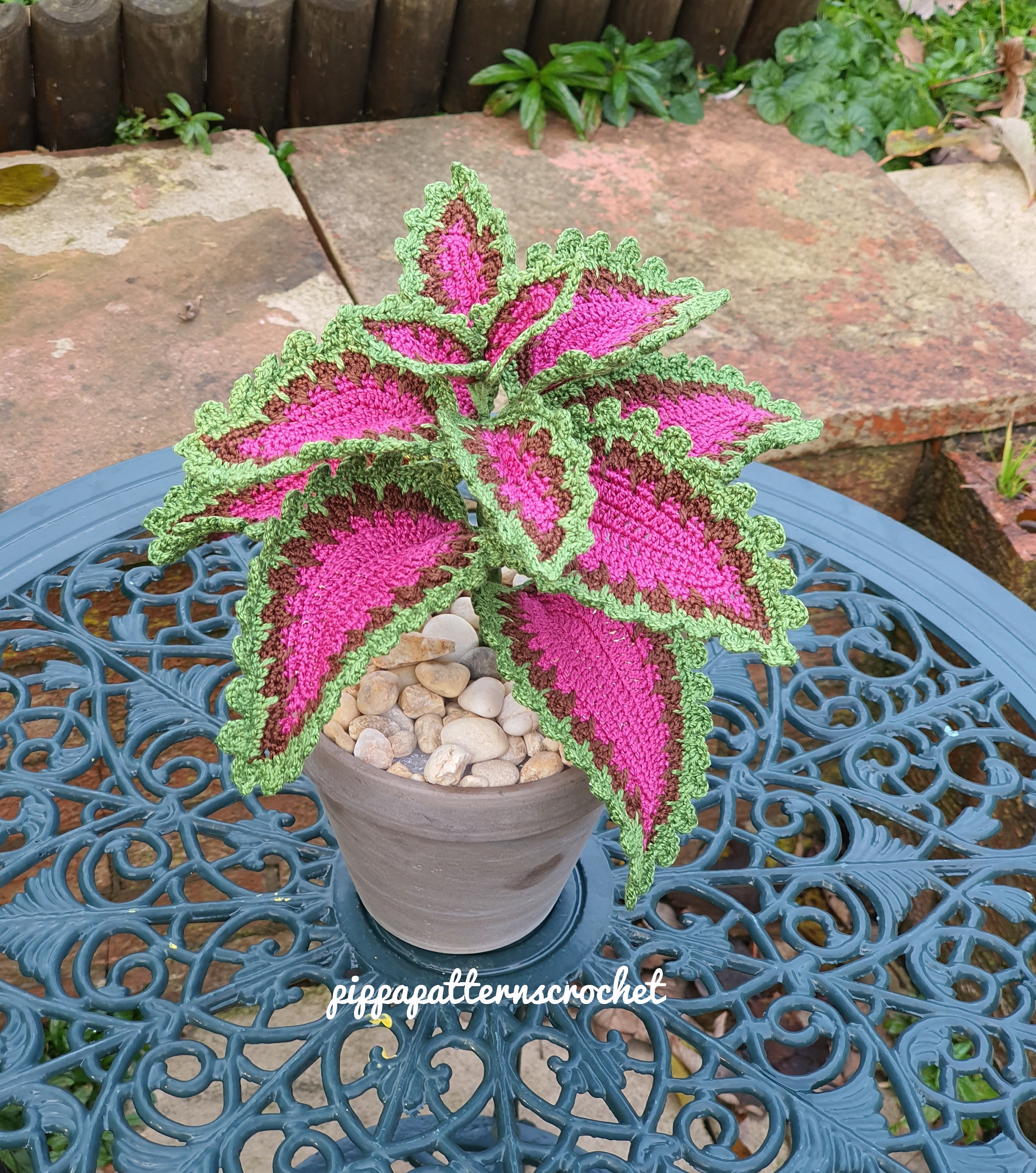 Crochet Coleus Pattern Photo Tutorial Crochet Coleus Plant Etsy