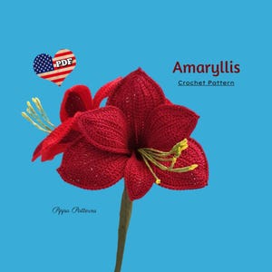 Amaryllis Crochet Pattern  Photo tutorial