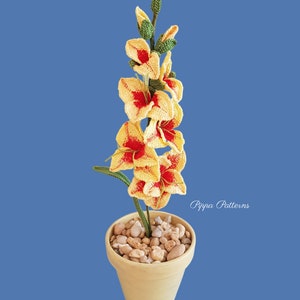 May include: A crocheted gladiolus flower in a yellow pot with white stones. The flower is yellow and red with green stems. The text "Pippa Patterns" is visible in the bottom right corner of the image.