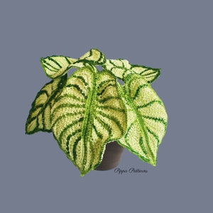 May include: A crocheted plant with green and white leaves in a brown pot. The plant is a crocheted replica of a real plant. The text "Pippa Patterns" is visible at the bottom of the image.
