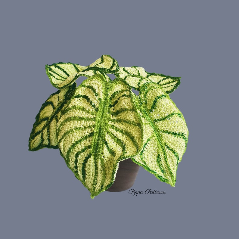 May include: A crocheted plant with green and white leaves in a brown pot. The plant is a crocheted replica of a real plant. The text "Pippa Patterns" is visible at the bottom of the image.