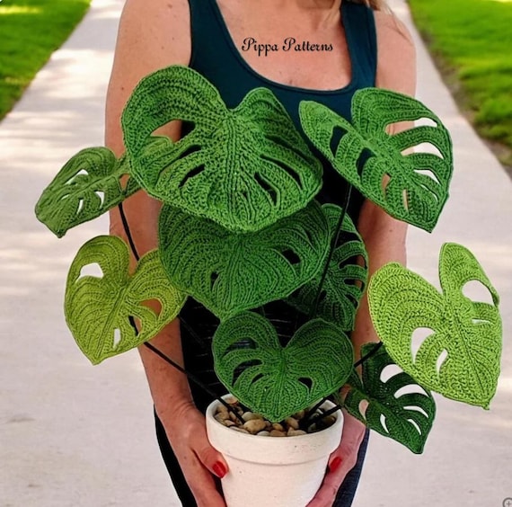 Monstera Pflanze hkeln: Fotoanleitung (PDF-Muster) - Etsy.de
