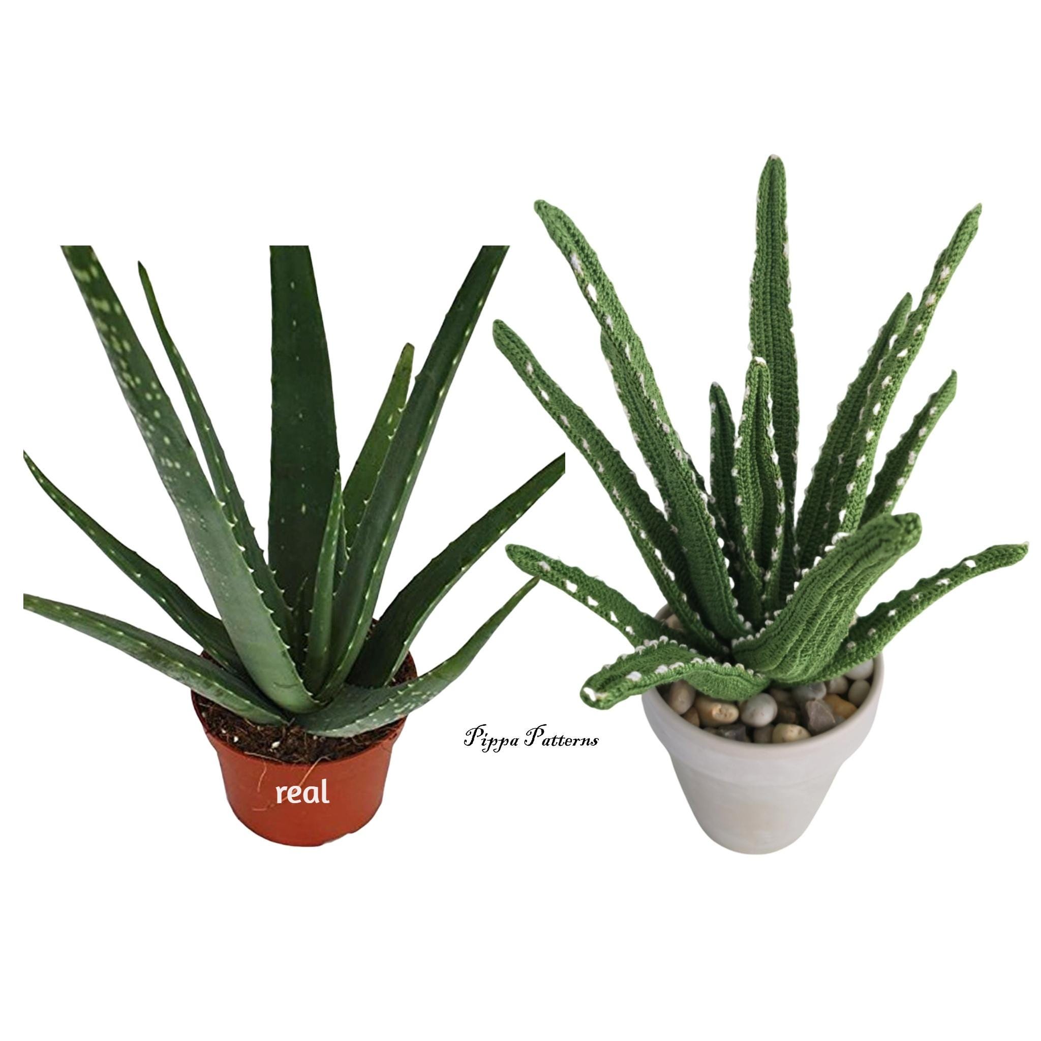 Aloe Vera Crochet Plant Pattern: Photo Tutorial (PDF Pattern) - Etsy