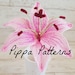 Pippa Patterns
