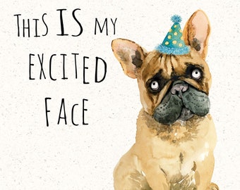 Old English Co. Lustige Geburtstagskarte Mit Französischer Bulldogge – „Pawesome Birthday“ Für Ihn/sie