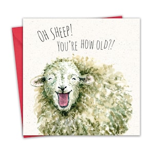 Divertente biglietto di auguri di compleanno - Oh Sheep - Uomo o donna biglietto di auguri di buon compleanno per lui e lei - Biglietto per amica - Biglietto di auguri di compleanno per uomo papà mamma marito moglie