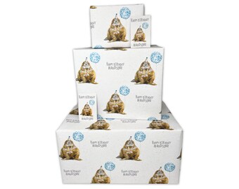 Happy Birthday Wrapping Paper for Men - Handsome Walrus - 2, 4 or 6 Sheets & Tags - 70cm x 50cm Folded Sheets - Funny Gift Wrap for Him