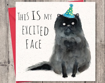 Funny Birthday Card Party Cat – Funny Birthday Card For Her - Funny Birthday Card For Him - Funny Happy Birthday Card - Funny Card Birthday