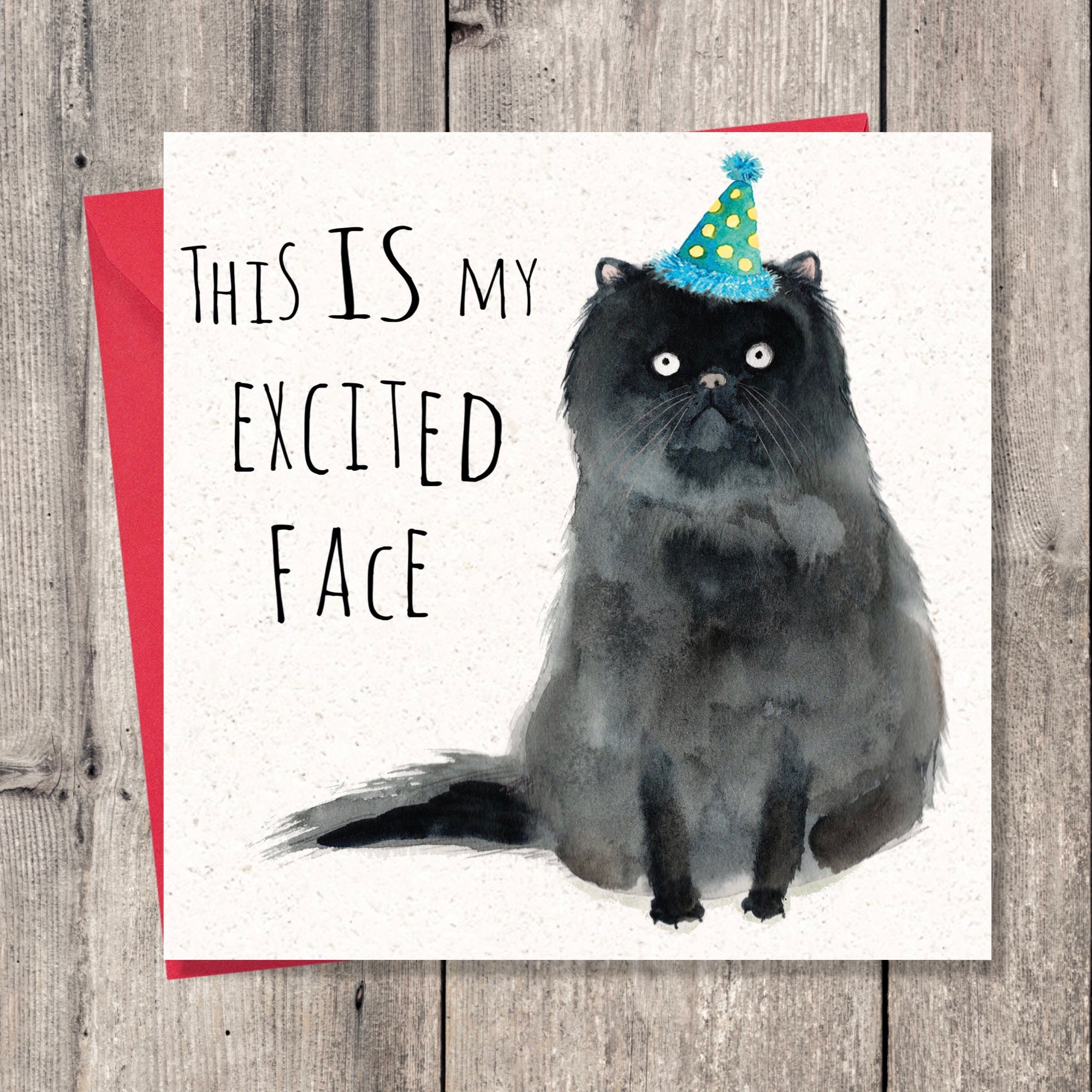 Funny Birthday Card Party Cat Funny Birthday Card for Her - Etsy UK