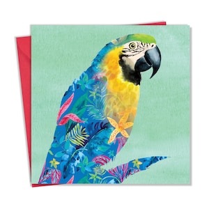 Carte de vœux perroquet - Intérieur vierge pour toute occasion - Carte d’anniversaire animal pour hommes ou femmes - Nature Wildlife Art