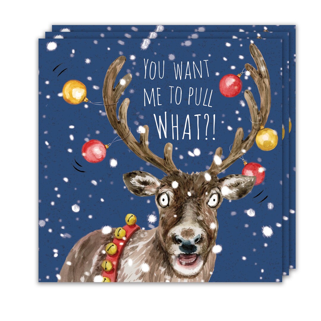 Twizler Lustige Weihnachtskarte Mit Rentier – Humorvolle Karte „Looks Like Rain Dear“, 15,5 X 15,5 Cm