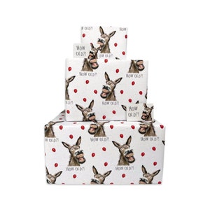 Carta da regalo di buon compleanno per uomo o donna - Asino Quanti anni? - 2, 4 o 6 fogli e etichette - Fogli piegati 70 cm x 50 cm - Carta da regalo divertente