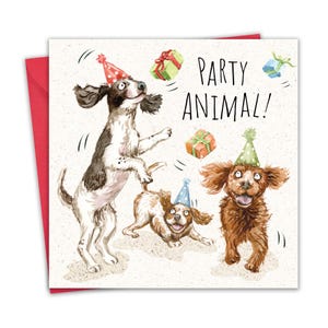 Biglietto di auguri per il compleanno del cane - Biglietto di auguri per Spaniel - Springer Cocker - Auguri per cani per gli amanti di Spaniel o Cockapoo - Divertente festa a tema animali