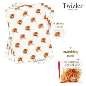 May include: A set of wrapping paper featuring a Highland cow with the text "Let your hair down!"  The set includes four sheets of wrapping paper and four gift tags. A matching birthday card is also included.