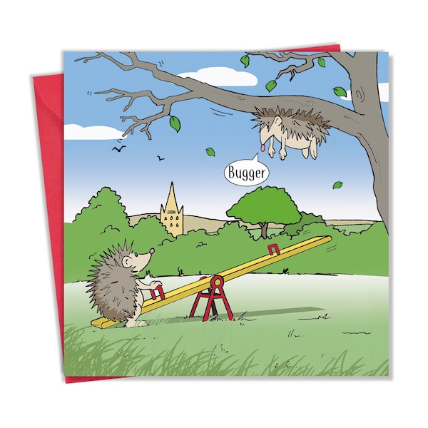 Funny Hedgehog Card –Humour Birthday Card –Funny Birthday Card –Funny Card For Her –Funny Card For Him –Funny Card For Teenager –Funny Card