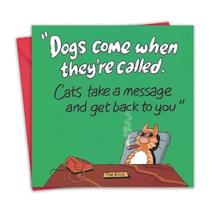 Funny Cat Birthday Card - Blank Inside - New Cat Card