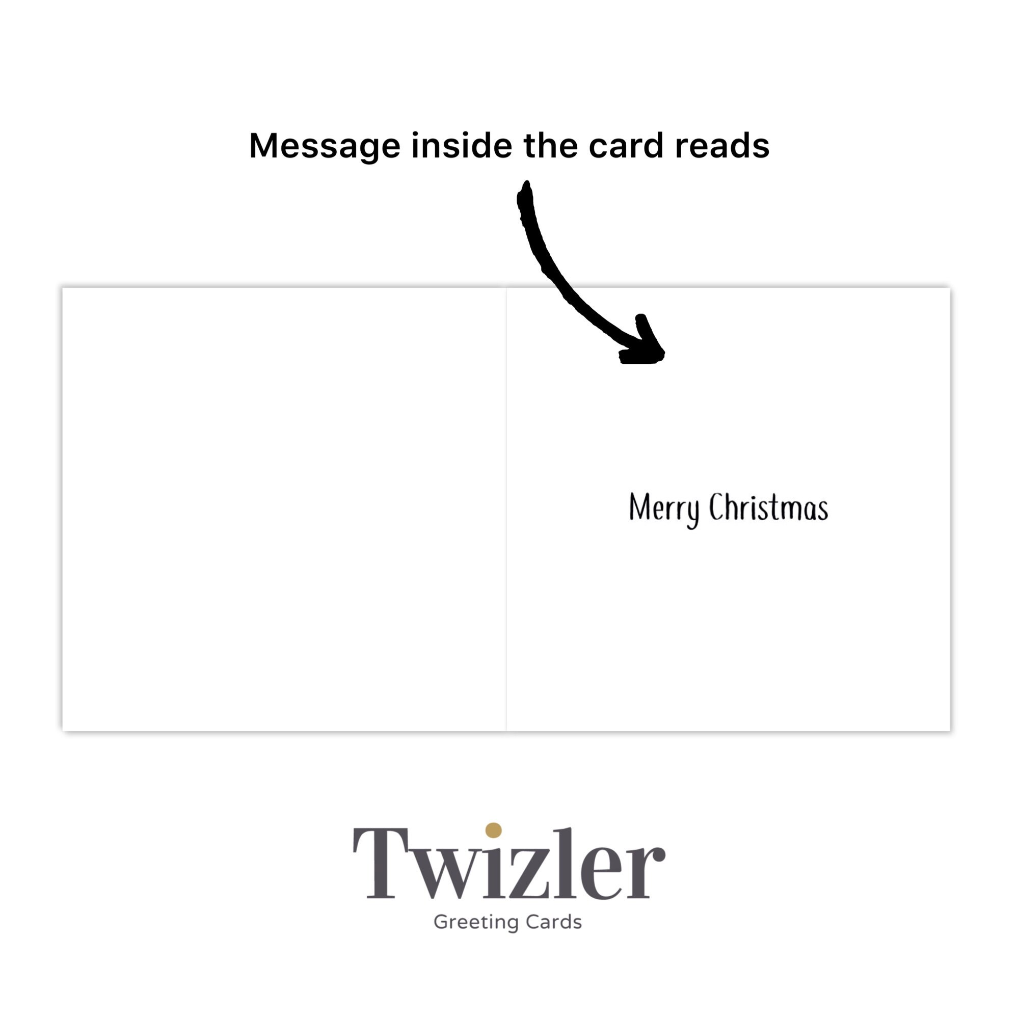 Twizler Lustige Weihnachtskarte – Dach-Lieferung Des Weihnachtsmanns, Witzig Für Familie & Freunde
