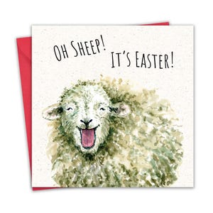 Tarjeta de Pascua divertida - Oh Sheep - Tarjetas de Pascua felices para mamá, papá, abuela, abuelo - Saludos humorísticos para hijo, hija, nieto, nieta, amigo