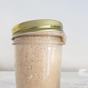 san francisco sourdough starter yeast over 200 years old San Francisco