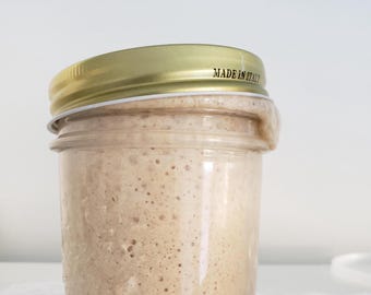 May include: A glass jar containing a light brown, bubbly mixture, likely a baking starter. The jar is topped with a gold lid, bearing the text "MADE IN ITALY". The jar is placed on a white surface.