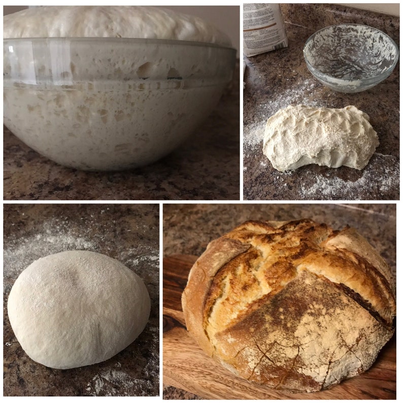 San Francisco Sourdough Starter the Beast Recipes - Etsy