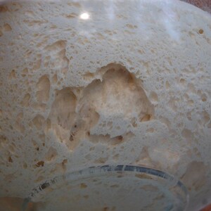 san francisco sourdough starter the beast recipes included fast activation afbeelding 4
