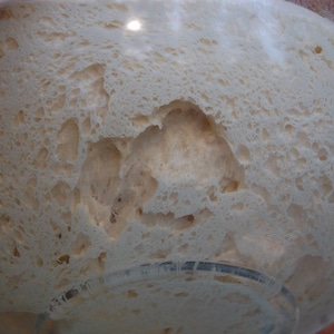 san francisco sourdough starter the beast recipes included fast activation image 4