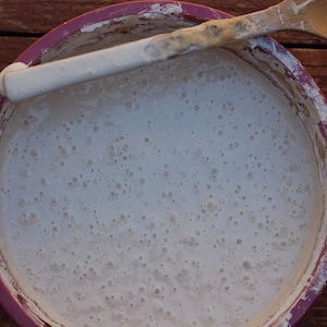 san francisco sourdough starter &quot;the beast&quot; recipes included fast activation