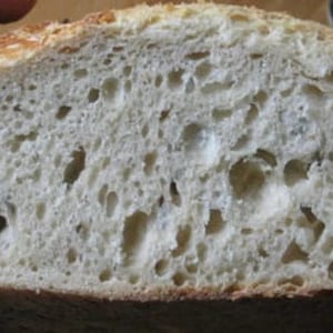 San Francisco SOURDOUGH STARTER, old yeast, very strong, very sour extremely active sally @