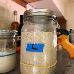 Puede incluir: Dos tarros de vidrio con un líquido marrón claro en su interior. Los tarros están etiquetados con cinta azul y tienen gomas elásticas alrededor. Los tarros están sobre una superficie gris.