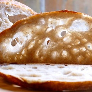 yeast in stock san francisco sourdough starter dry yeast flour mix beast @