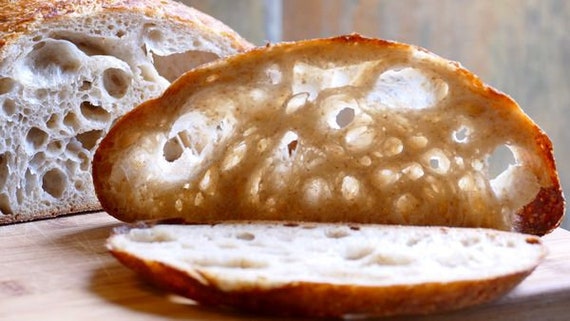 Live San Francisco Sourdough Yeast Starter - Purely Organic, Fresh Monthly Batch From Wharf-1063749