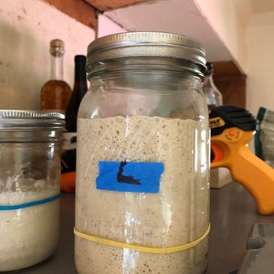 S0URD0UGH STARTER yeast VERIFIED 150+yrs california gold rush country deep sour flavor &quot;Larry&quot; @