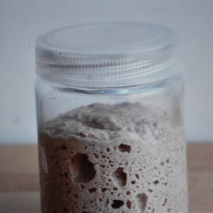 original sourdough starter yeast, from the wharf in san francisco very sour and active @