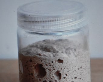 original sourdough starter yeast, from the wharf in san francisco very sour and active @