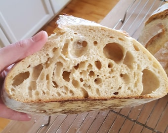 LIEVITO MADRE DI SAN FRANCISCO Lievito vecchio di 100 anni, molto forte, molto acido, estremamente attivo sally @