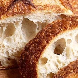 san francisco sourdough starter "the beast" recipes included fast activation