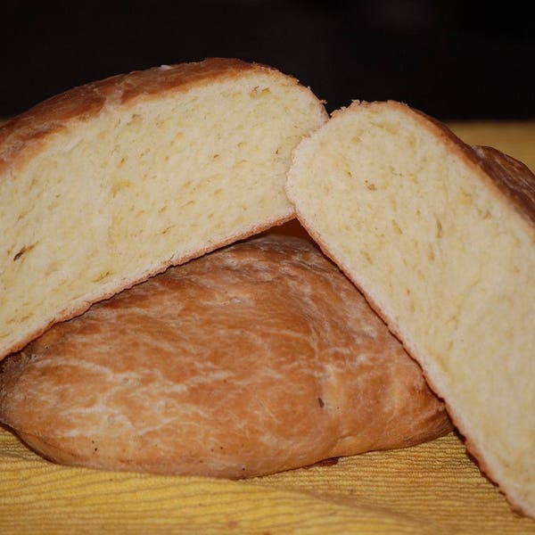 Gluten Free S0URDOUGH BREAD STARTER San Francisco (SAMMy)  plus recipes @