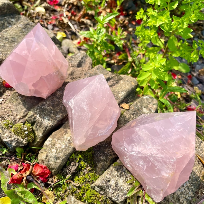 May include: Three pink rose quartz crystal points, also known as heart chakra stones, are arranged on a bed of moss and rocks. The crystals are translucent and have a natural, raw finish.