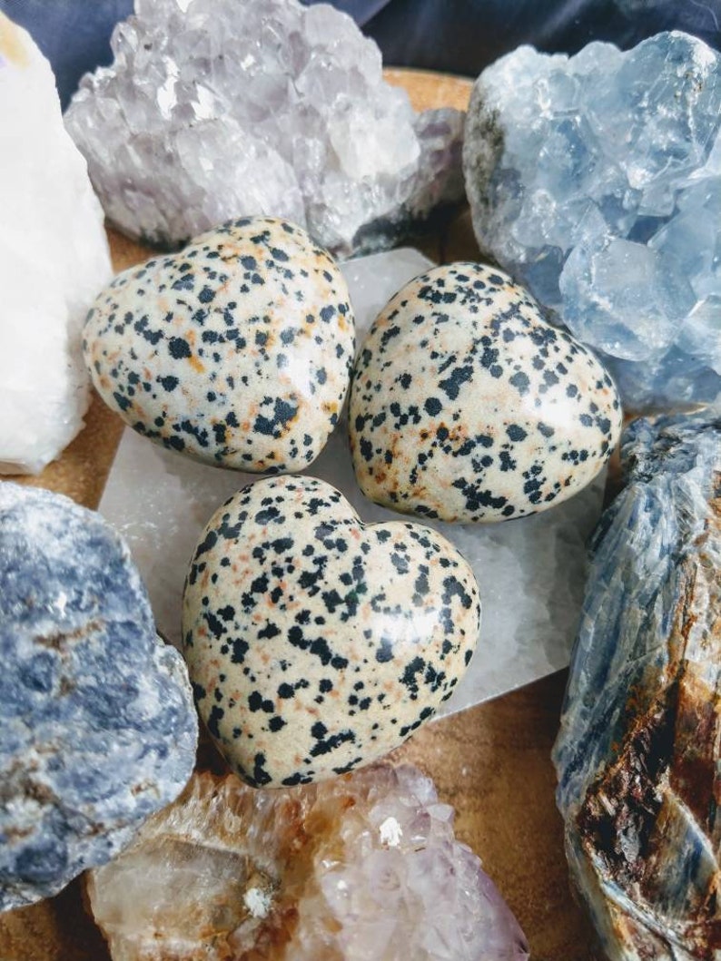 dalmation Jasper lucky hearts crystal healing spiritual support