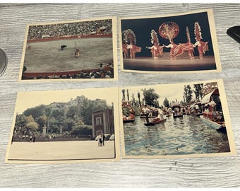 1960-70 Circa Lot Of 12 Original Photos Mexico 5x7 Bull Fighting, Xochimilco D2