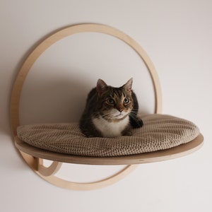 Bubble cat bed hotsell