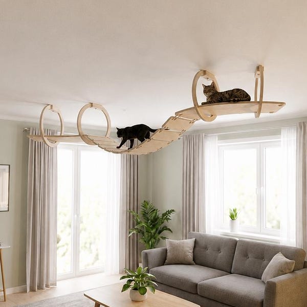 Plywood Ceiling Cat Shelves: Climbing CeilingFurniture Set
