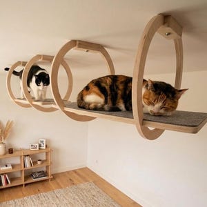 Op de afbeelding: Een moderne kattenboom met drie houten platforms die aan het plafond zijn opgehangen. Twee katten gebruiken de platforms. Eén is zwart-wit en de andere is een lapjeskat. De platforms hebben grijze vilten kussens.