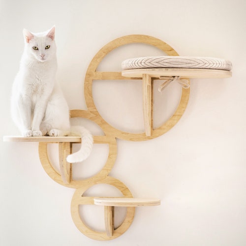 Étagère Bubble Cat avec marches : mobilier mural d'escalade moderne