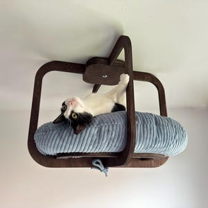 May include: A cat bed suspended from the ceiling, featuring a dark brown wooden frame and a light blue, corduroy-textured cushion. A black and white cat is lounging on the bed, looking at the camera.