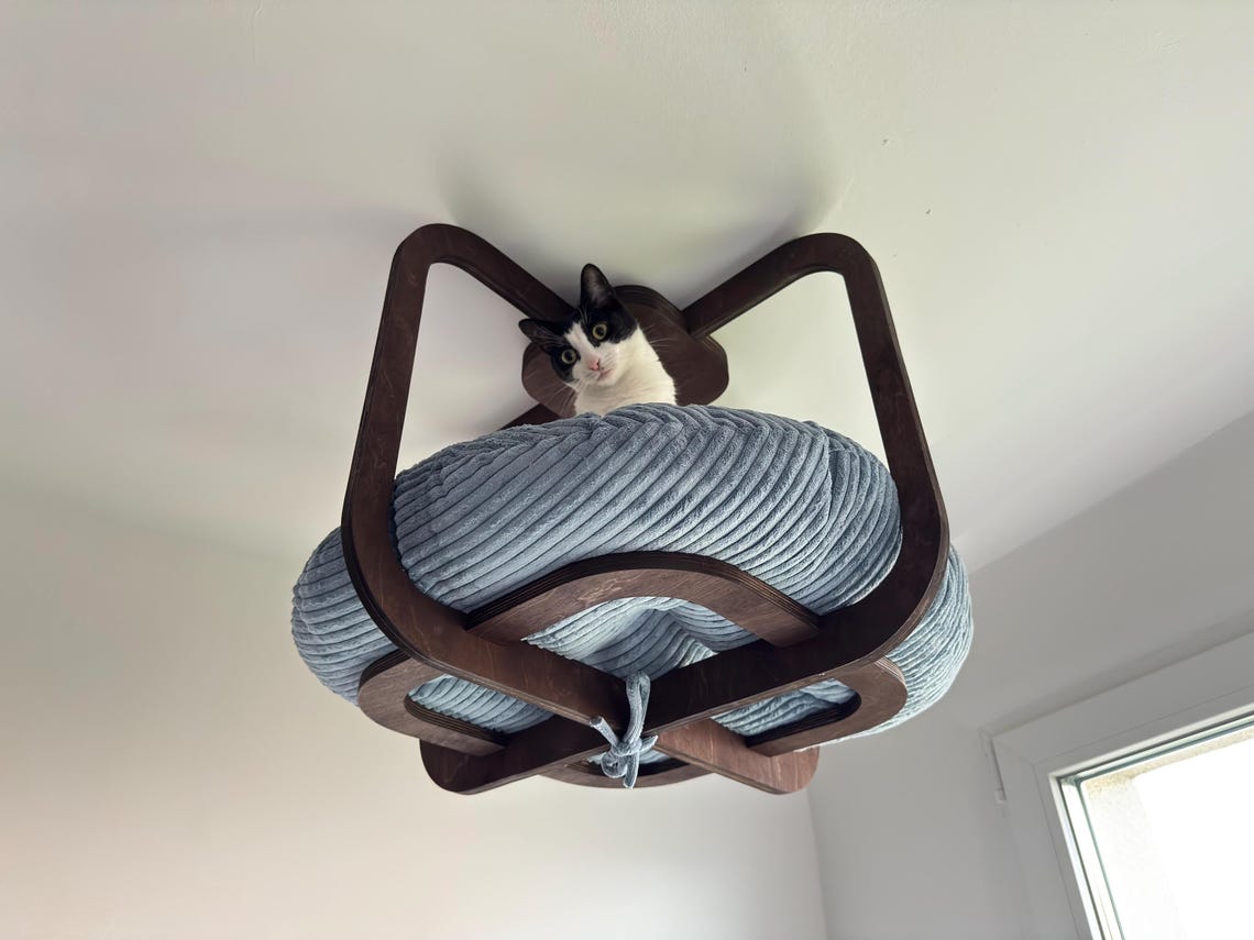 Curated visual reference: Fresh Look at Ceiling Mounted Cat Bed Plywood Cat Shelf With Cushion