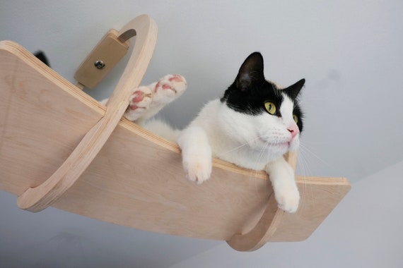 Cat toys that hang from the ceiling top