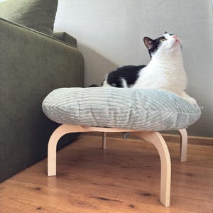 Birch Plywood Cat Bed with Pillow: Modern Asian Design