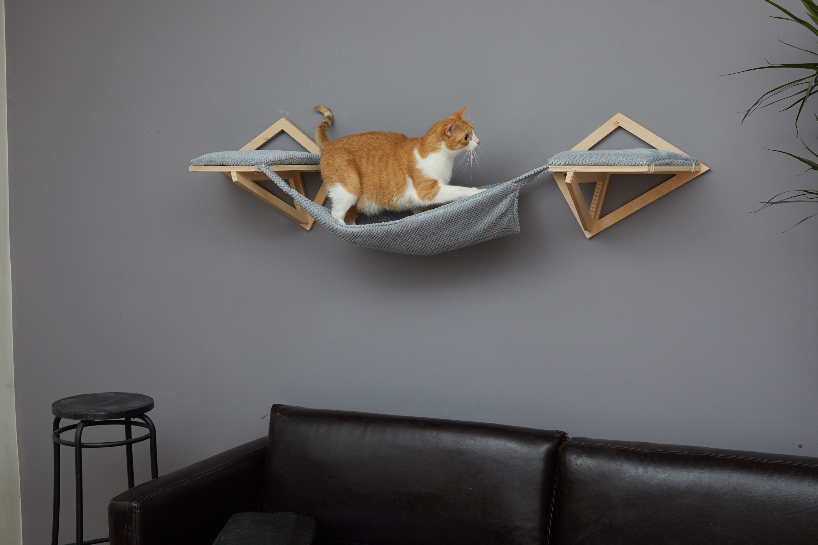 Muur Hangmat Tofana | Kattenhangmat